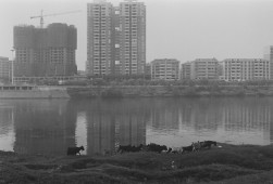 与县城一河之隔的吴集镇，两种不同生态